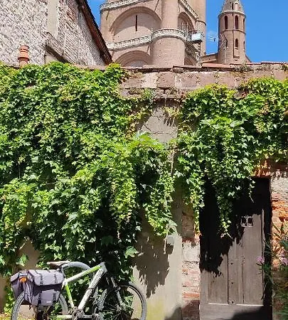 ホテル Le Colibri ⁂ Centre-ville ⁂ Fibre アルビ